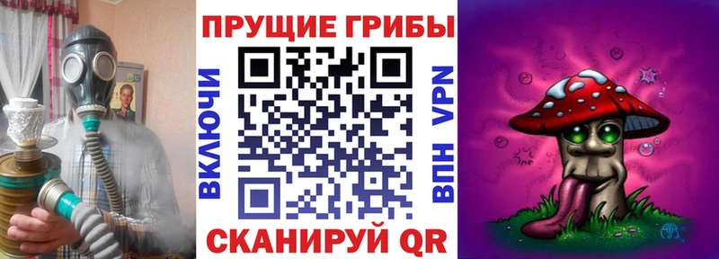 Псилоцибиновые грибы GOLDEN TEACHER Купить Киселёвск